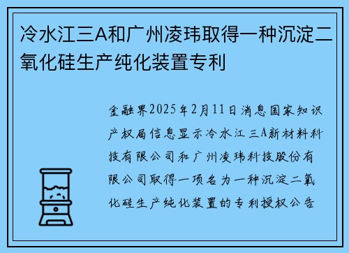 冷水江三A和广州凌玮取得一种沉淀二氧化硅生产纯化装置专利