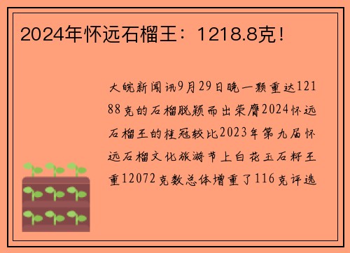 2024年怀远石榴王：1218.8克！