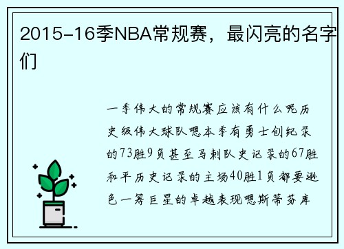 2015-16季NBA常规赛，最闪亮的名字们